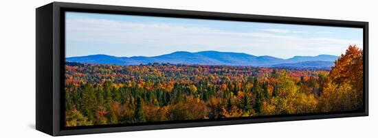 Autumn trees on landscape, Foster, Quebec, Canada-null-Framed Stretched Canvas