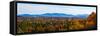 Autumn trees on landscape, Foster, Quebec, Canada-null-Framed Stretched Canvas