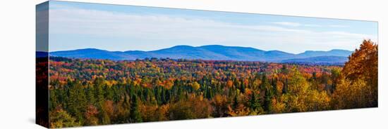 Autumn trees on landscape, Foster, Quebec, Canada-null-Stretched Canvas