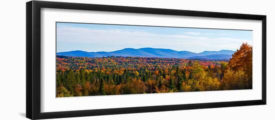 Autumn trees on landscape, Foster, Quebec, Canada-null-Framed Photographic Print