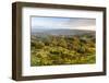 Autumn Trees on Leckhampton Hill, Cheltenham, the Cotswolds, Gloucestershire, England-Matthew Williams-Ellis-Framed Photographic Print