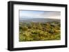 Autumn Trees on Leckhampton Hill, Cheltenham, the Cotswolds, Gloucestershire, England-Matthew Williams-Ellis-Framed Photographic Print