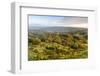 Autumn Trees on Leckhampton Hill, Cheltenham, the Cotswolds, Gloucestershire, England-Matthew Williams-Ellis-Framed Photographic Print