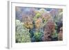 Autumn Trees on Long Walk at Mother Shiptons in Knaresborough North Yorkshire England-Mark Sunderland-Framed Photographic Print