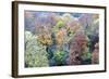 Autumn Trees on Long Walk at Mother Shiptons in Knaresborough North Yorkshire England-Mark Sunderland-Framed Photographic Print