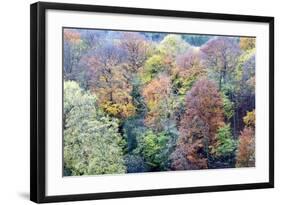 Autumn Trees on Long Walk at Mother Shiptons in Knaresborough North Yorkshire England-Mark Sunderland-Framed Photographic Print