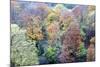 Autumn Trees on Long Walk at Mother Shiptons in Knaresborough North Yorkshire England-Mark Sunderland-Mounted Photographic Print