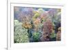 Autumn Trees on Long Walk at Mother Shiptons in Knaresborough North Yorkshire England-Mark Sunderland-Framed Photographic Print