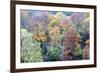 Autumn Trees on Long Walk at Mother Shiptons in Knaresborough North Yorkshire England-Mark Sunderland-Framed Photographic Print