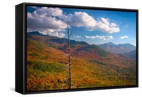 Autumn trees on mountain, Baxter Mountain, Adirondack Mountains State Park, New York State, USA-null-Framed Stretched Canvas