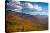 Autumn trees on mountain, Baxter Mountain, Adirondack Mountains State Park, New York State, USA-null-Stretched Canvas