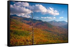 Autumn trees on mountain, Baxter Mountain, Adirondack Mountains State Park, New York State, USA-null-Framed Stretched Canvas