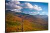 Autumn trees on mountain, Baxter Mountain, Adirondack Mountains State Park, New York State, USA-null-Stretched Canvas