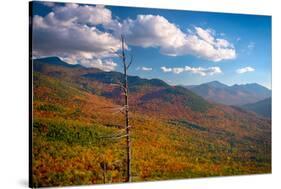 Autumn trees on mountain, Baxter Mountain, Adirondack Mountains State Park, New York State, USA-null-Stretched Canvas