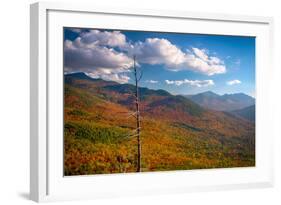 Autumn trees on mountain, Baxter Mountain, Adirondack Mountains State Park, New York State, USA-null-Framed Photographic Print