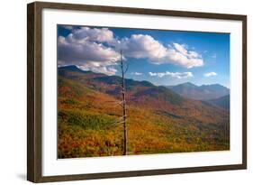 Autumn trees on mountain, Baxter Mountain, Adirondack Mountains State Park, New York State, USA-null-Framed Photographic Print