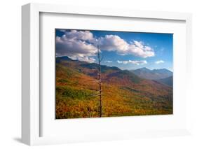Autumn trees on mountain, Baxter Mountain, Adirondack Mountains State Park, New York State, USA-null-Framed Photographic Print