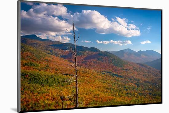 Autumn trees on mountain, Baxter Mountain, Adirondack Mountains State Park, New York State, USA-null-Mounted Photographic Print