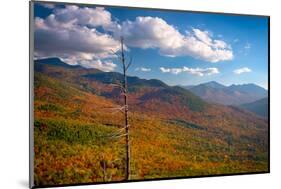 Autumn trees on mountain, Baxter Mountain, Adirondack Mountains State Park, New York State, USA-null-Mounted Photographic Print