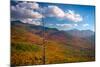 Autumn trees on mountain, Baxter Mountain, Adirondack Mountains State Park, New York State, USA-null-Mounted Photographic Print