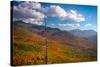 Autumn trees on mountain, Baxter Mountain, Adirondack Mountains State Park, New York State, USA-null-Stretched Canvas