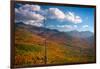 Autumn trees on mountain, Baxter Mountain, Adirondack Mountains State Park, New York State, USA-null-Framed Photographic Print