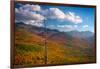 Autumn trees on mountain, Baxter Mountain, Adirondack Mountains State Park, New York State, USA-null-Framed Photographic Print