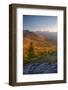 Autumn trees on mountain, Baxter Mountain, Adirondack Mountains State Park, New York State, USA-null-Framed Photographic Print