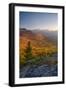 Autumn trees on mountain, Baxter Mountain, Adirondack Mountains State Park, New York State, USA-null-Framed Photographic Print