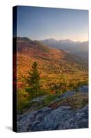 Autumn trees on mountain, Baxter Mountain, Adirondack Mountains State Park, New York State, USA-null-Stretched Canvas