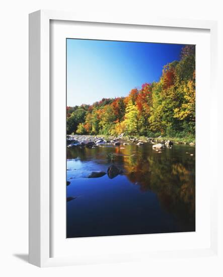 Autumn Trees Reflected in Deerfield River, Vermont, USA-Adam Jones-Framed Photographic Print