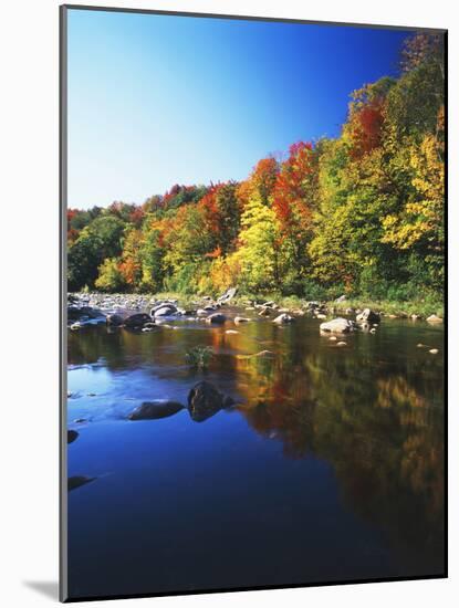 Autumn Trees Reflected in Deerfield River, Vermont, USA-Adam Jones-Mounted Photographic Print