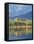 Autumn Trees Reflected in Forggensee in Bavaria-Alex Saberi-Framed Stretched Canvas