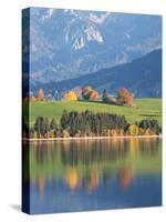 Autumn Trees Reflected in Forggensee in Bavaria-Alex Saberi-Stretched Canvas