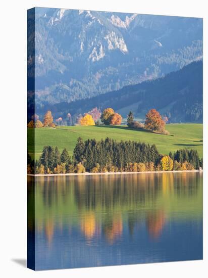 Autumn Trees Reflected in Forggensee in Bavaria-Alex Saberi-Stretched Canvas