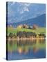 Autumn Trees Reflected in Forggensee in Bavaria-Alex Saberi-Stretched Canvas