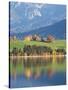 Autumn Trees Reflected in Forggensee in Bavaria-Alex Saberi-Stretched Canvas