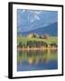 Autumn Trees Reflected in Forggensee in Bavaria-Alex Saberi-Framed Photographic Print