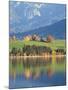 Autumn Trees Reflected in Forggensee in Bavaria-Alex Saberi-Mounted Photographic Print