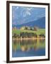 Autumn Trees Reflected in Forggensee in Bavaria-Alex Saberi-Framed Photographic Print