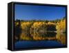 Autumn Trees Reflecting in Lake, Flatiron Lake, Dixie National Forest, Utah, USA-Scott T^ Smith-Framed Stretched Canvas