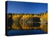 Autumn Trees Reflecting in Lake, Flatiron Lake, Dixie National Forest, Utah, USA-Scott T^ Smith-Stretched Canvas