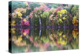 Autumn Trees, Reflection, Great Long Pond, Somesville, Mount Desert Island, Maine, Usa-Michel Hersen-Stretched Canvas