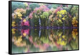 Autumn Trees, Reflection, Great Long Pond, Somesville, Mount Desert Island, Maine, Usa-Michel Hersen-Framed Stretched Canvas