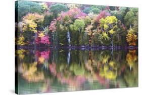 Autumn Trees, Reflection, Great Long Pond, Somesville, Mount Desert Island, Maine, Usa-Michel Hersen-Stretched Canvas