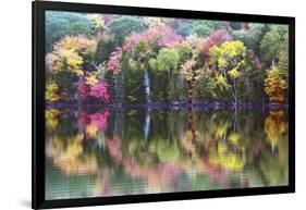 Autumn Trees, Reflection, Great Long Pond, Somesville, Mount Desert Island, Maine, Usa-Michel Hersen-Framed Photographic Print