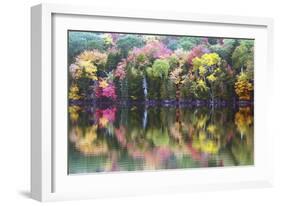 Autumn Trees, Reflection, Great Long Pond, Somesville, Mount Desert Island, Maine, Usa-Michel Hersen-Framed Photographic Print