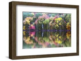 Autumn Trees, Reflection, Great Long Pond, Somesville, Mount Desert Island, Maine, Usa-Michel Hersen-Framed Photographic Print