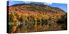 Autumn trees reflection in pond, Sugarloaf Pond, Potton, Quebec, Canada-null-Stretched Canvas