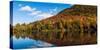 Autumn trees reflection in pond, Sugarloaf Pond, Potton, Quebec, Canada-null-Stretched Canvas